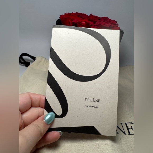 SOLD Polène Numéro Dix Textured Taupe Crossbody/Shoulder Bag - Picture 9 of 16